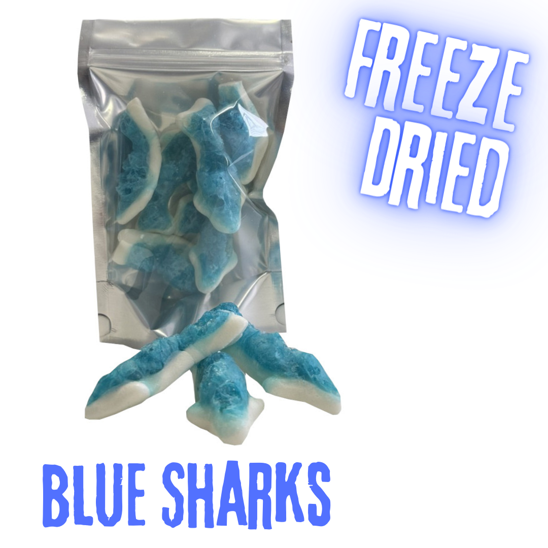 Freeze Dried Blue Sharks - Seconds 500g